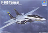 U.S. Navy F-14D Tomcat (Plastic model)