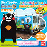 B Train Shorty Hisatsu Orange Railway Type HSOR-100 Kumamon x Oranges Wrapping Train + General Car (2-Car Set) (Model Train)
