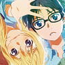 Your Lie in April Multi Cloth B (Anime Toy)