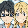 Your Lie in April Multi Cloth C (Anime Toy)