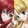 High School DxD Shower Poster Collection 8 pieces (Anime Toy)
