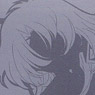 Revolutionary Girl Utena Acrylic Pass Case 01 (Gray) (Anime Toy)