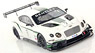 ベントレー コンチネンタル GT3 2013 ガルフ12時間耐久レース (メタリックパールホワイト) (ミニカー)