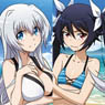 Gonna be the Twin-Tail!! Clear File A (Anime Toy)