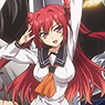 The Testament of Sister New Devil Clear File A (Anime Toy)