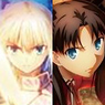 Fate/stay night Bathroom Poster (Anime Toy)