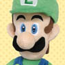 Super Mario AC18 Luigi M (Anime Toy)