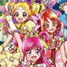 Character Sleeve Pretty Cure All Stars the Movie Spring Carnival Yes! Precure 5 Go Go! (EN-036) (Card Sleeve)