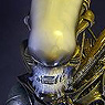 Alien/ Alien Big Chap 1/4 Action Figure (Completed)