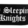 Sword Art Online II Sleeping Knights Carabiner (Anime Toy)