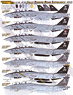 US Navy F-14B Tomcat VF-103 Jolly Rogers Decal Set (Decal)