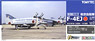 JASDF F-4EJ 305th Squadron (Hyakuri, 1992 Air Combat Meet) (Plastic model)