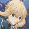 Fate/stay night [UBW] Saber Silicon Pass Case (Anime Toy)