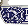 Yu-Gi-Oh! Duel Monsters GX Duel Academia Carabiner (Anime Toy)