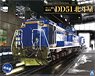 Diesel Locomotive DD51 Hokutosei (Plastic model)