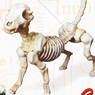 Pose Skeleton Dog (01) (Anime Toy)
