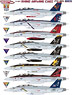 US Navy F/A-18E/F Super Hornet `Rhino` CAG Part.2 Decal Set (Decal)