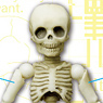 Pose Skeleton Human (02) Child (Anime Toy)