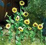 95523 (HO) Flowering Plants - Sunflowers, 16/pk 1`` Height (2.54cm) (Sunflower HO Scale, 16 pcs.) (Model Train)