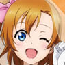 [Love Live!] Clear File 2 Sheets Set Part.2 [Honoka Kosaka] (Anime Toy)