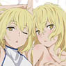Is It Wrong to Try to Pick Up Girls in a Dungeon? Dakimakura Cover (B) Aizu (Anime Toy)