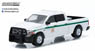 2014 Ram 1500 United States ForestService (USFS) Police (Hobby Exclusive) (ミニカー)