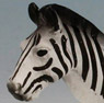 Zebra (Completed)