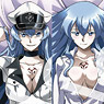 Akame ga Kill! Dakimakura Cover #2 Esdeath (Anime Toy)