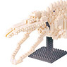 nanoblock Blue Whale Skeleton Model (Block Toy)