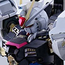 Metal Build Strike Freedom Gundam (Completed)
