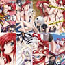 High School DxD BorN Long Poster Collection 8 pieces (Anime Toy)