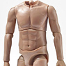 Muscular Articulate Body AB08 (Fashion Doll)