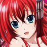 High School DxD BorN Pass Case Rias Gremory (Anime Toy)