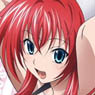 High School DxD BorN Long Clear Poster (Anime Toy)