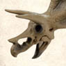 Pose Skeleton Dinosaur Series No.102 Triceratops (Anime Toy)