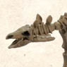 Pose Skeleton Dinosaur Series No.103 Stegosaurus (Anime Toy)