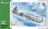 P-36 `Pearl Harbor Defender` (Plastic model)