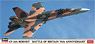 CF-18A Hornet `Battle of Britain 75th Anniversary` (Plastic model)