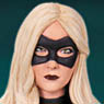 Arrow - DC 6 Inch Action Figure: Black Canary (Completed)