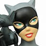 Batman Animated/ Cat Woman Bust (Completed)