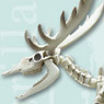 Pose Skeleton Mammal Moose (Anime Toy)
