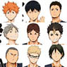 Haikyu!! Visual Colored Paper Collection 16 pieces (Anime Toy)