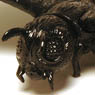 Jet Black Object Collection Mothra 1961 (Completed)