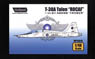 T-38A Talon `ROCAF` Limited Edition (Plastic model)