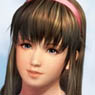 Dead or Alive 5 Last Round B2 Tapestry Hitomi (Anime Toy)