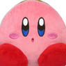 FM13 Coin Case Kirby (Osumashi) (Anime Toy)