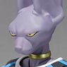 S.H.Figuarts Beerus (Completed)