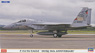 F-15J/DJ Eagle `2010SQ 30th Anniversary` (Plastic model)