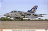 Tornado GR.4/IDS `TTTE 35th Anniversary` (Set of 2) (Plastic model)