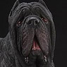 Mr.z 1/6 Neapolitan Mastiff Figure Black (Fashion Doll)